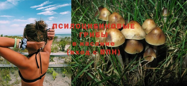 экстази Арсеньев