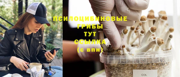 MDMA Баксан